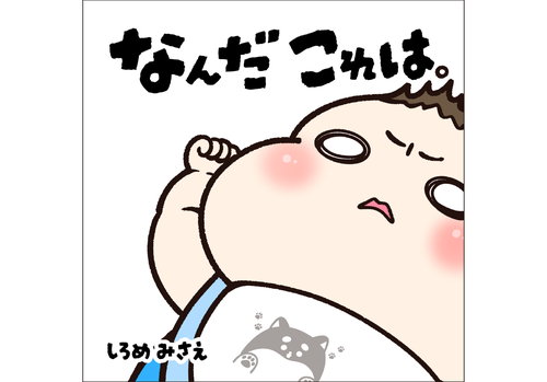 なんだこれは