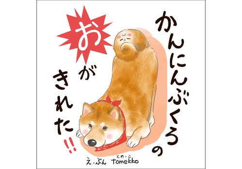 かんにんぶくろのおがきれた！